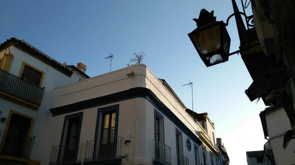 Imagen de Hostal Azahar (16 de 17)