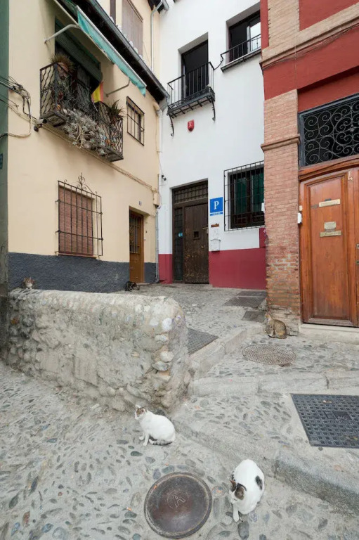 Imagen de Oasis Hostel Granada (15 de 17)