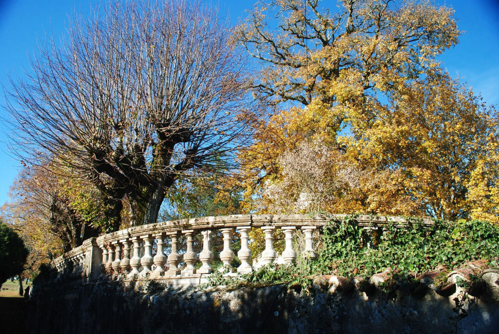 Domaine des Anges