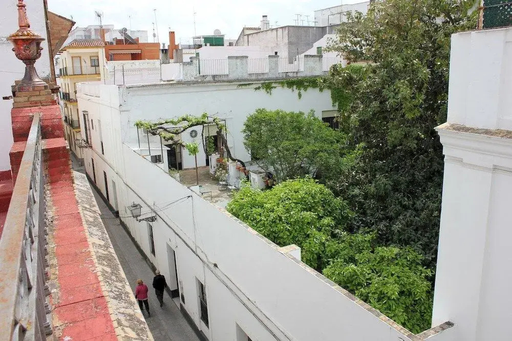 Imagen de Sevilla Dream Hostel (4 de 14)