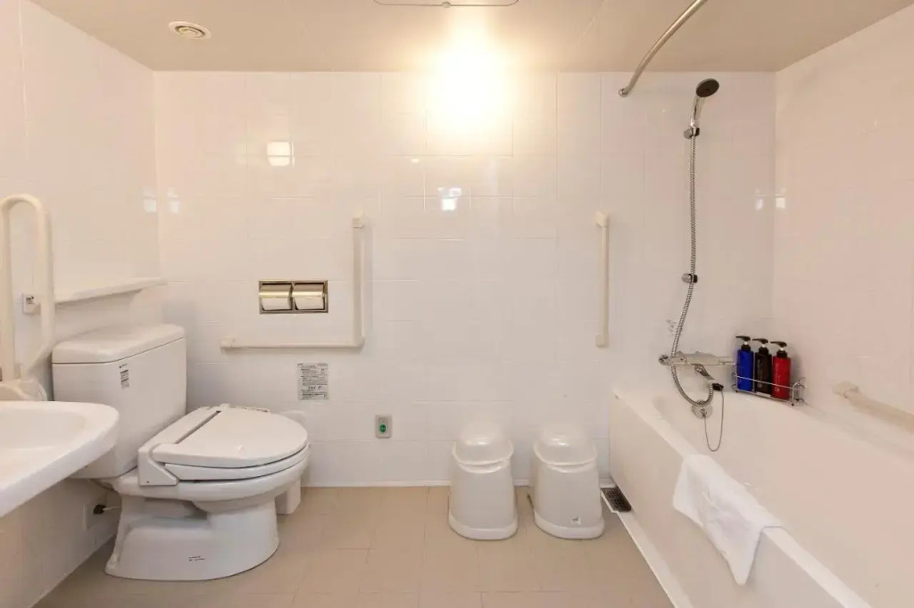 Sotetsu Fresa Inn Shimbashi Hibiyaguchi