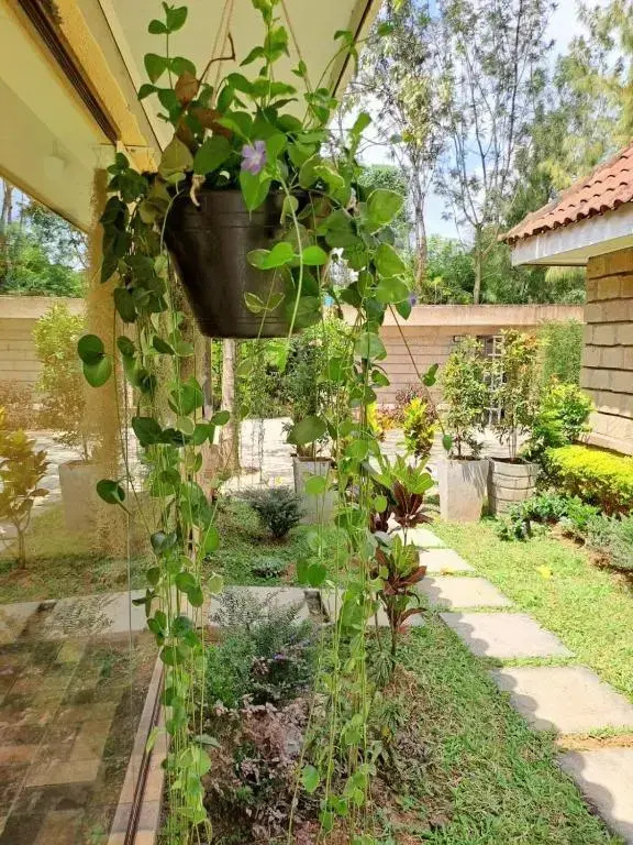 Od Kidi Cottages