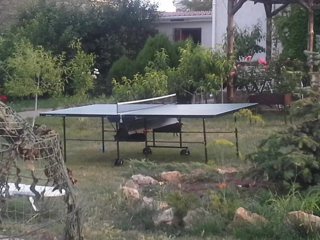 Belaya Guest House
