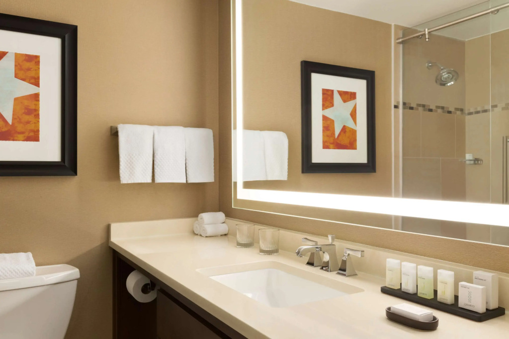 Отель Embassy Suites by Hilton Austin Downtown South Congress