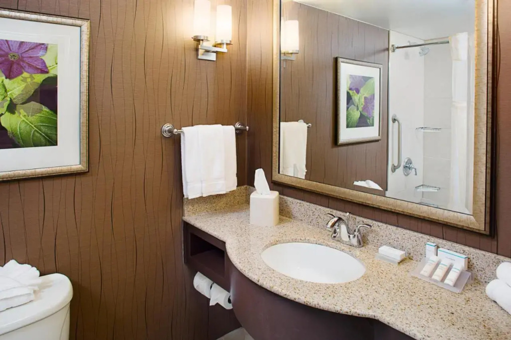 Hilton Garden Inn Hartford North-Bradley International Airport