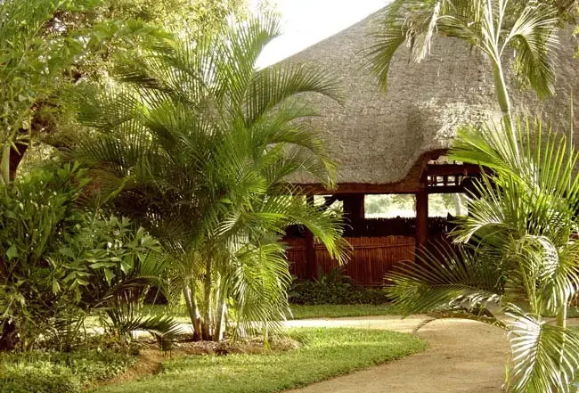 Kapama Southern Camp