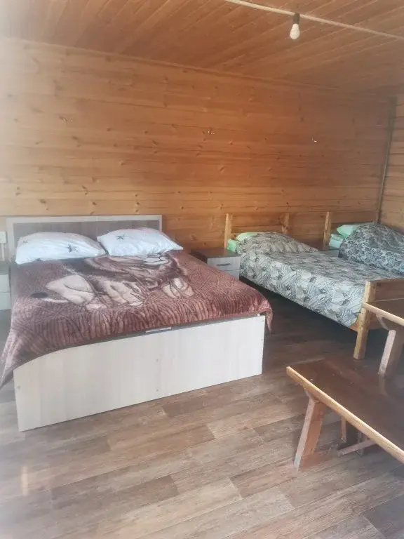 Четырёхместный номер Superior в Диана