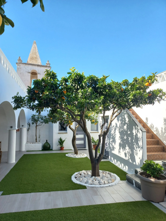 Casa Dona Antonia - Monsaraz