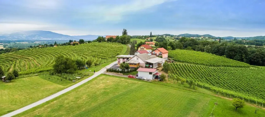 Guesthouse Prenočišča Širec