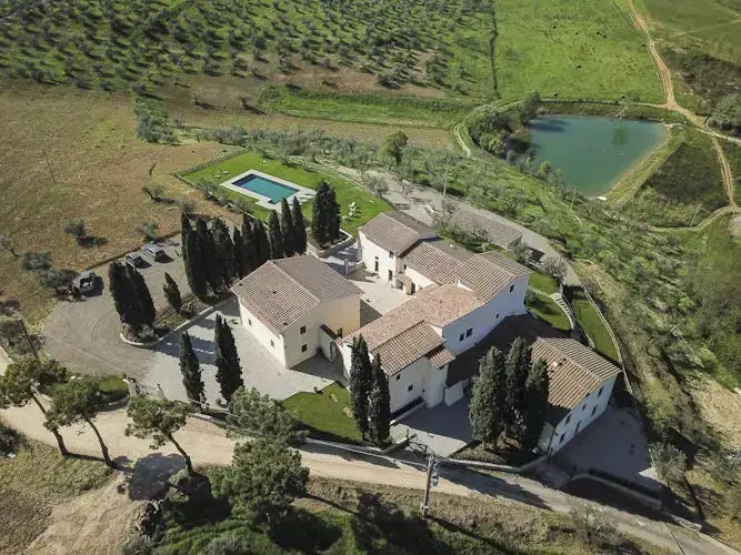 Olmofiorito