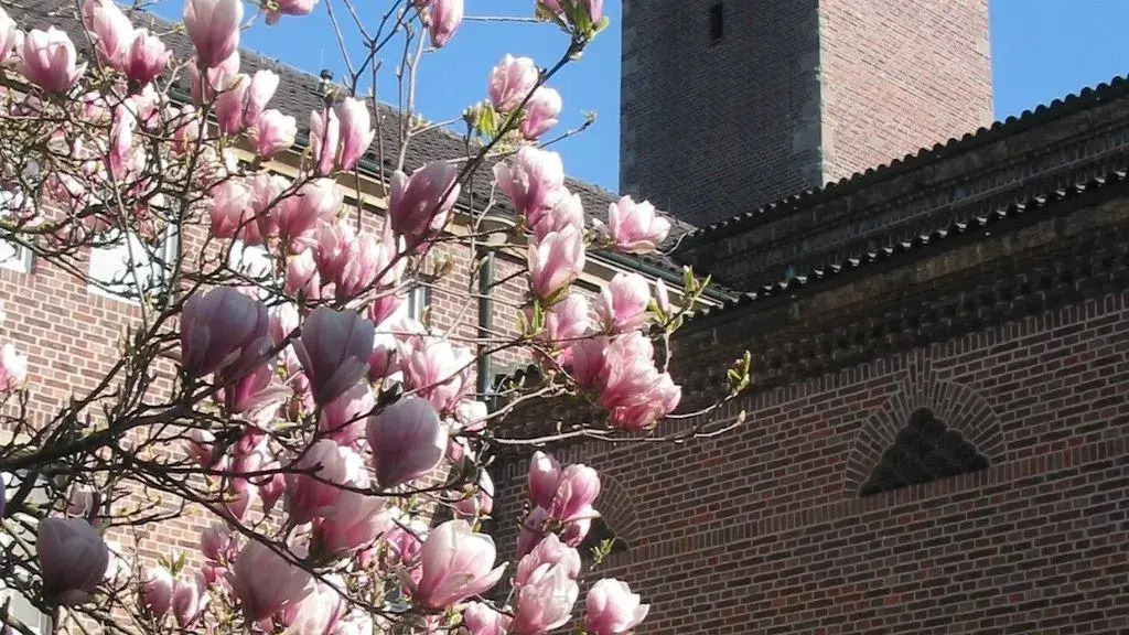 Pallotti Haus