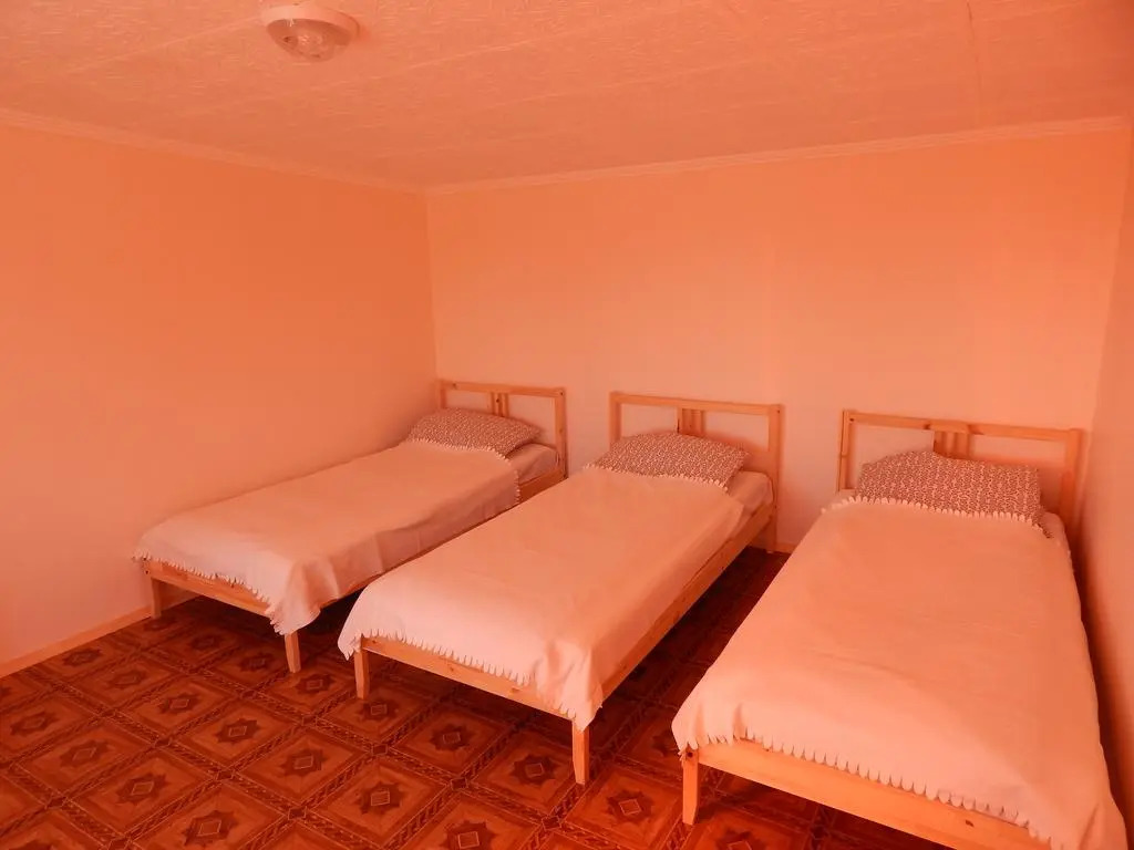 Hostel Gorkogo 72