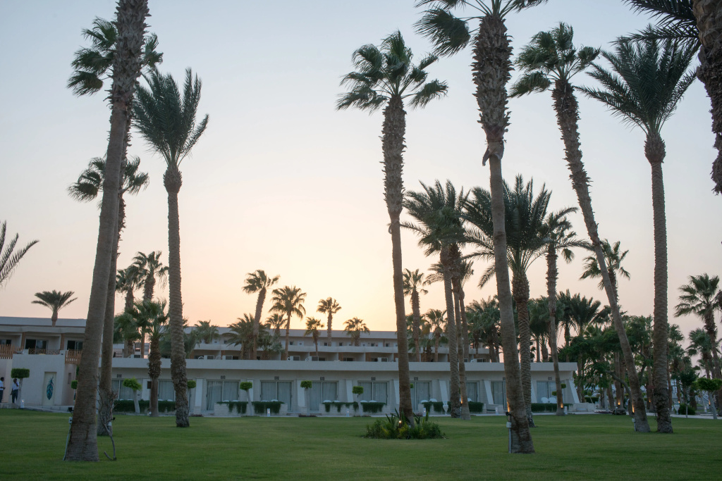 Festival Shedwan Golden Beach Resort