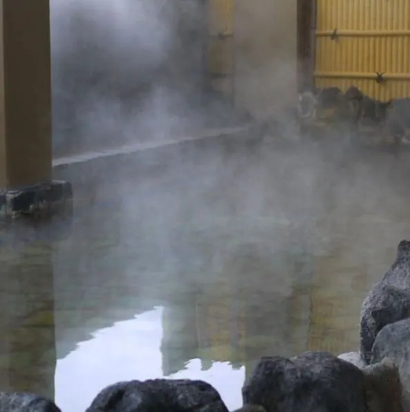 Senboku Onsen Koryu Plaza Saku no Yu