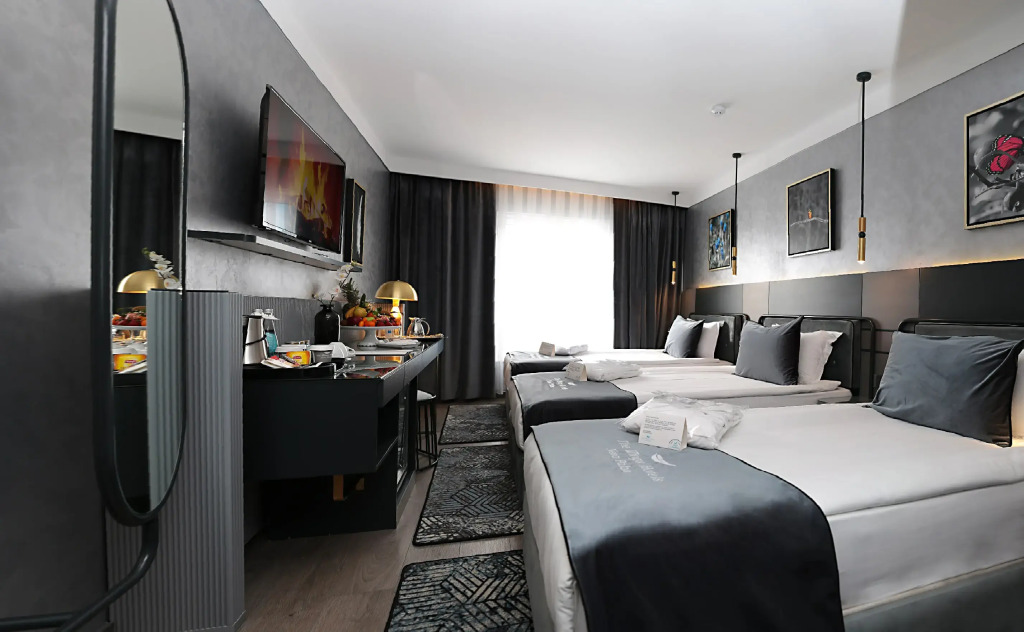 The Wings Hotels Ankara - Neva Palas