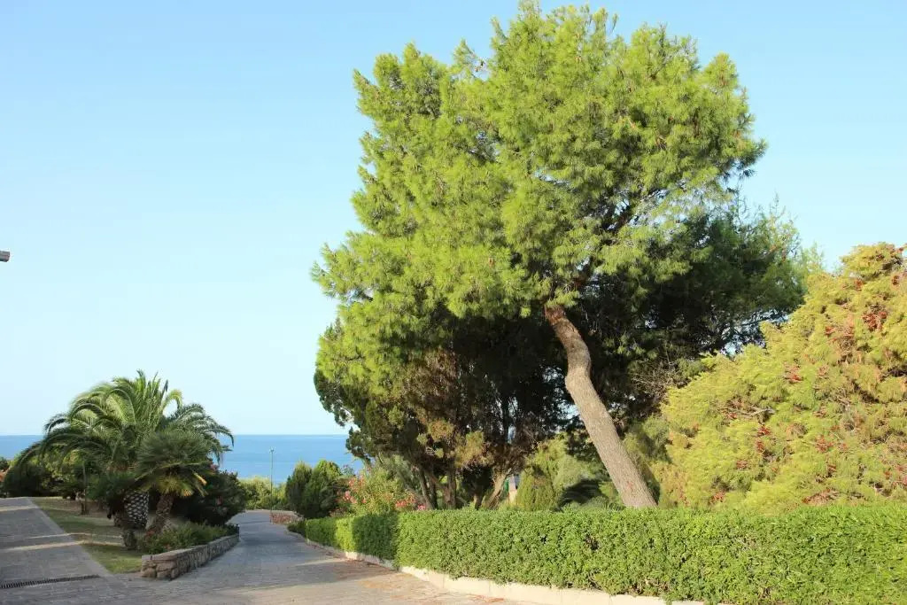 Eco Village Baia Delle Ginestre