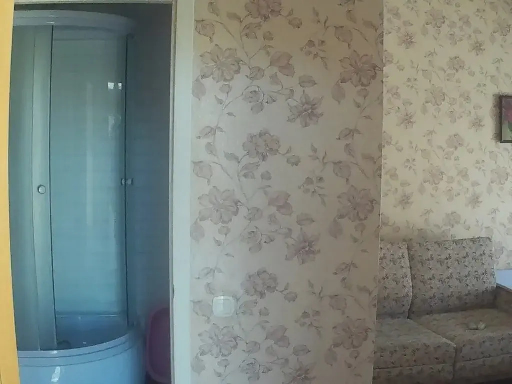Три кита