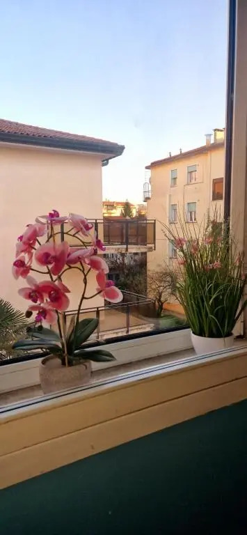 Hotel Tito