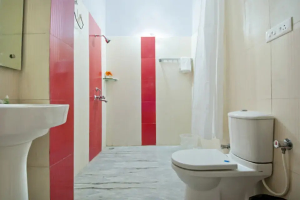 Hotel Mandakini Palace