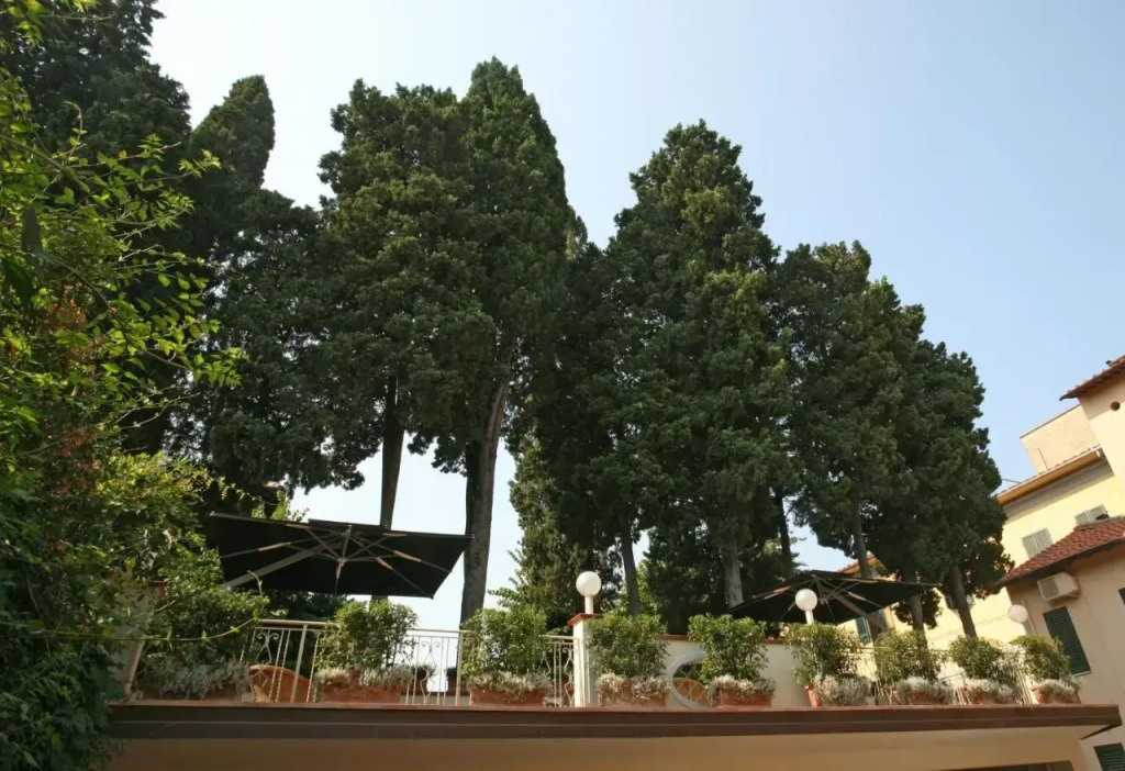 Отель Bologna