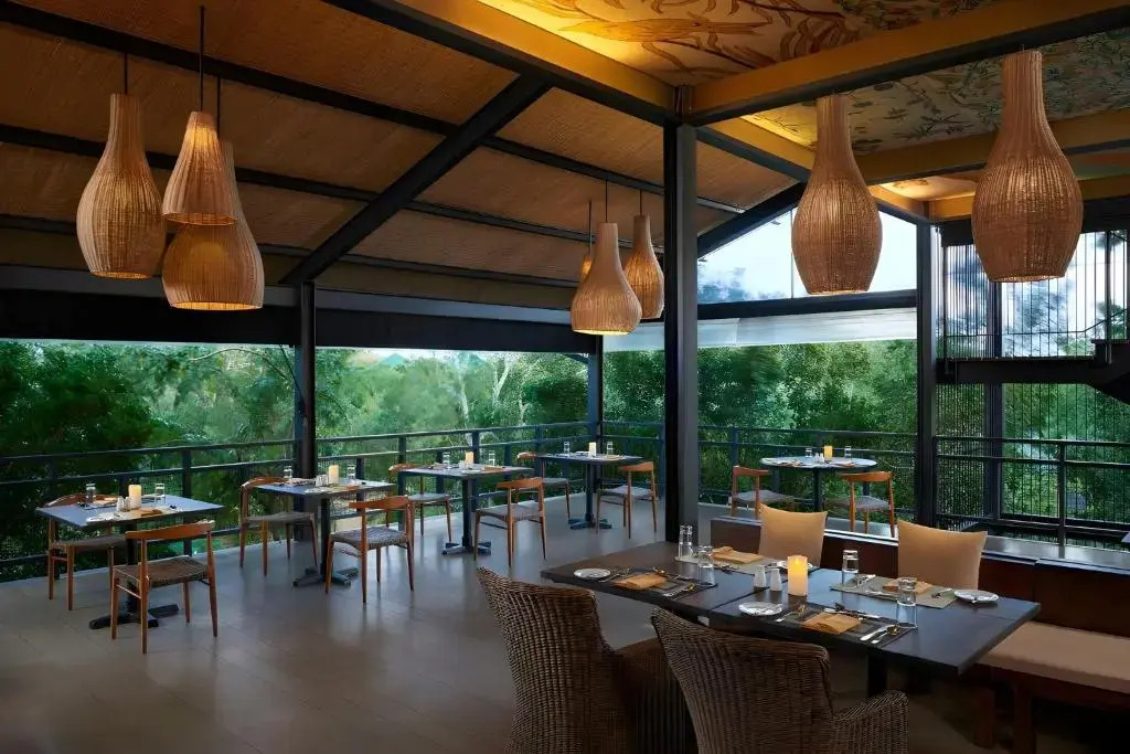 Cinnamon Wild Yala