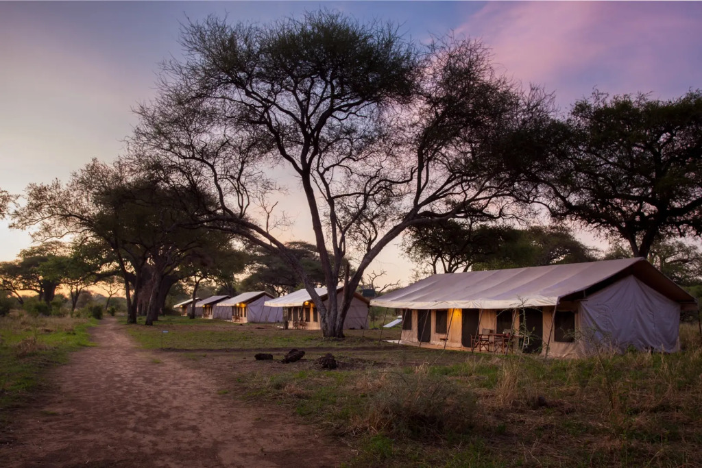 Baobab Tented Camp