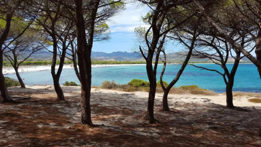 Valtur Baia dei Pini