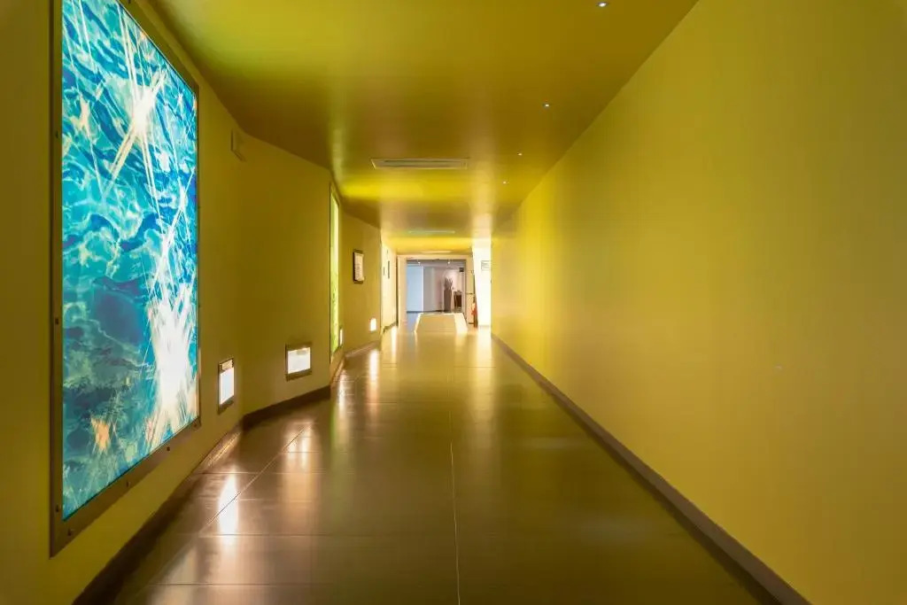 Hotel Baia Flaminia