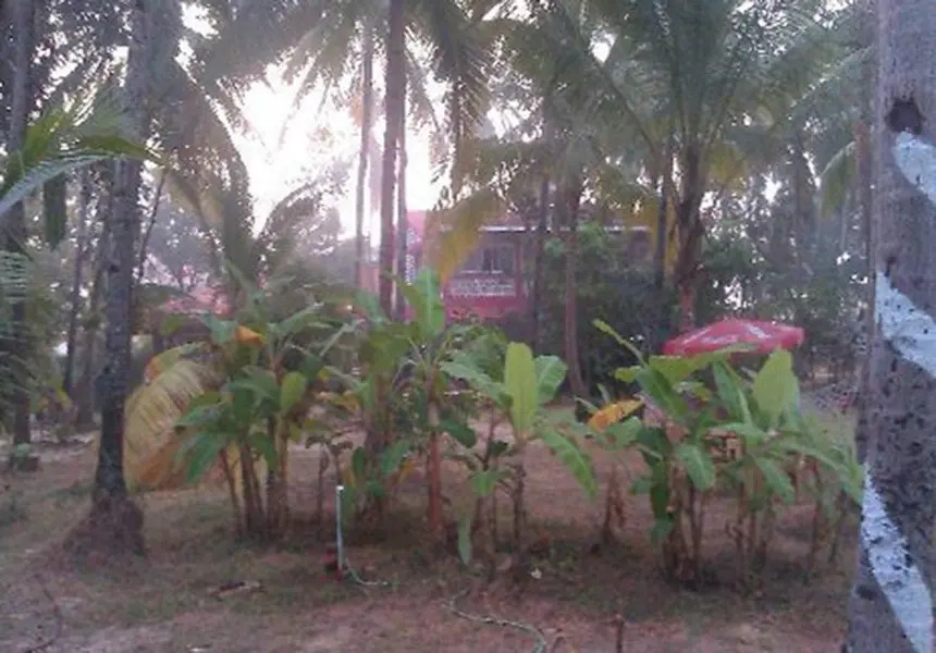 My Kind Of Place Beach Resort