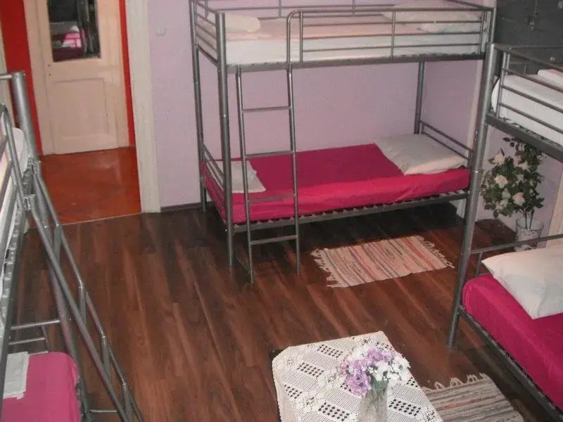 Hostel Ana