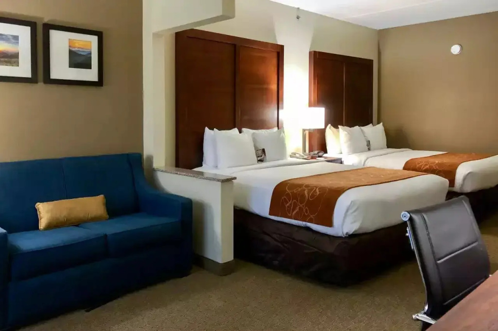 Vista Suites Near Island and Leconte Convention Center
