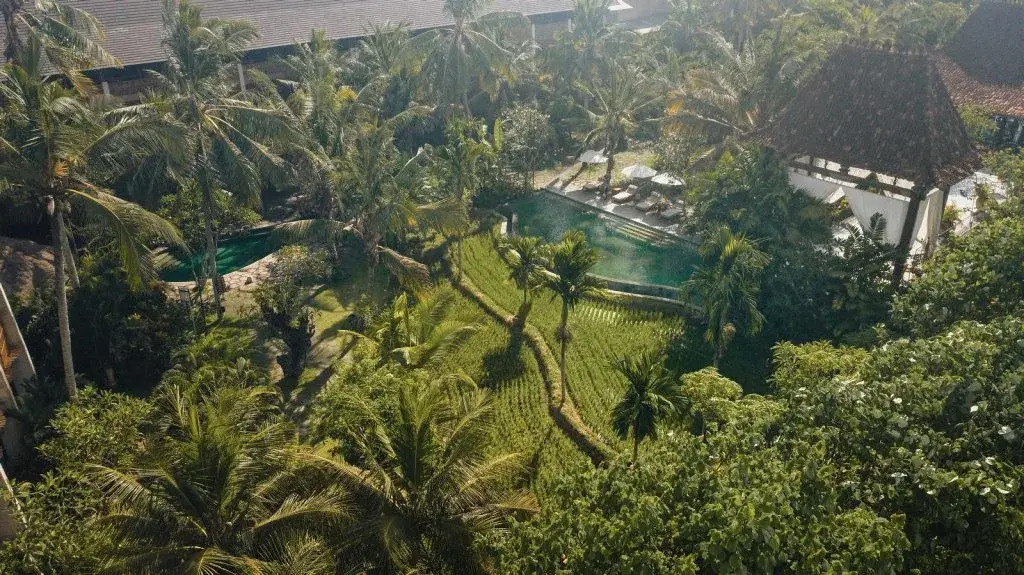 Отель Alaya Resort Ubud