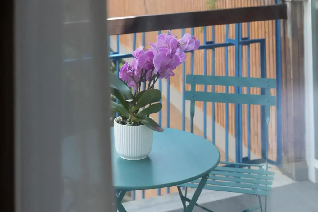 Zaccardi Roof Garden