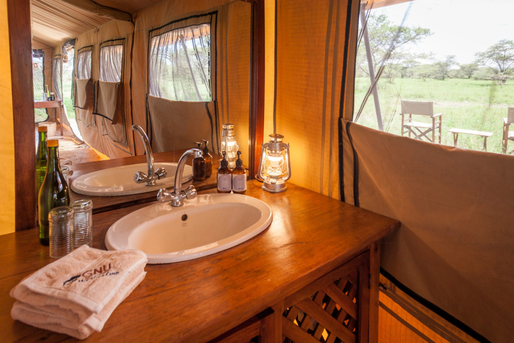 Gnu Ndutu Camp