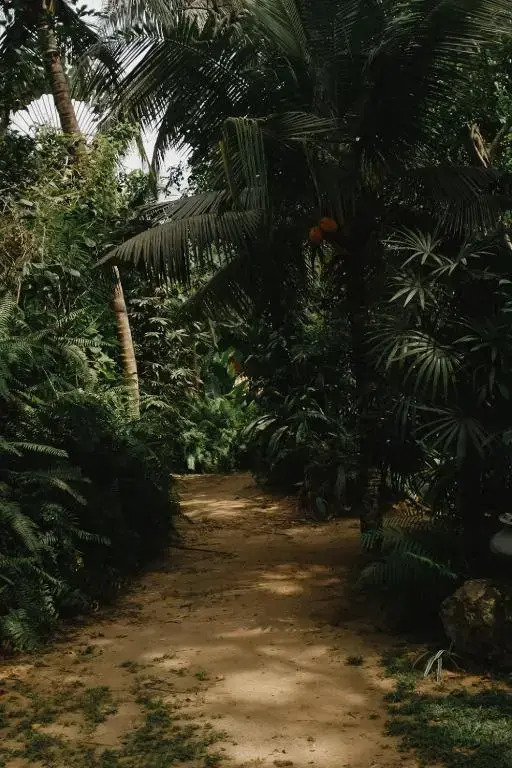 Dunes Unawatuna Hotel