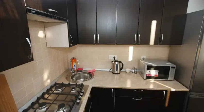 Meretskova Apartment