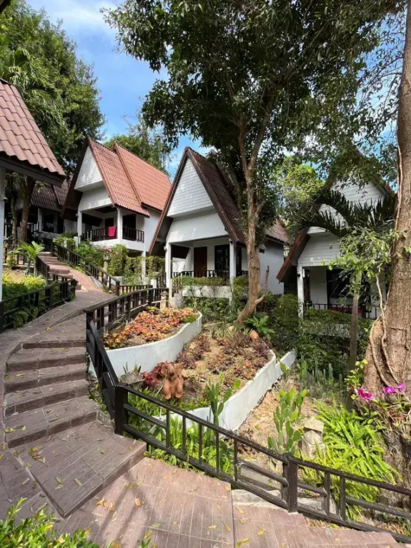 Tok Little Hut