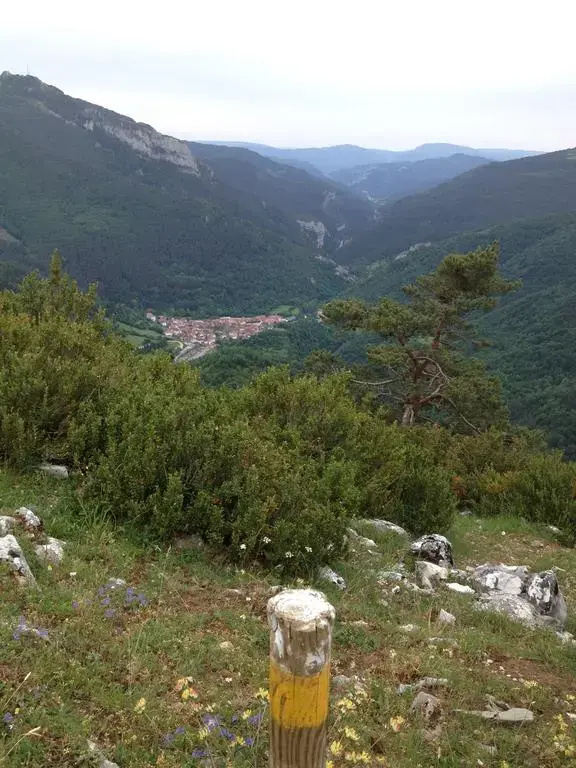 Imagen de Pension Txiki (18 de 18)