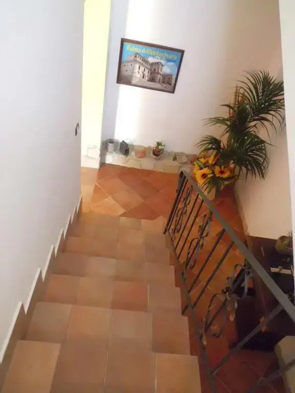 La Mimosa