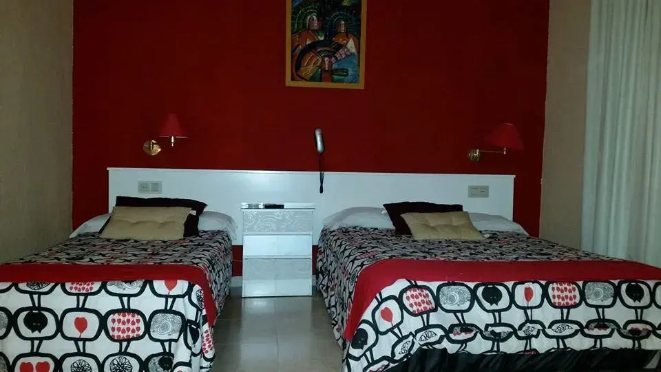 Imagen de Hotel Nuevo Ara (11 de 17)
