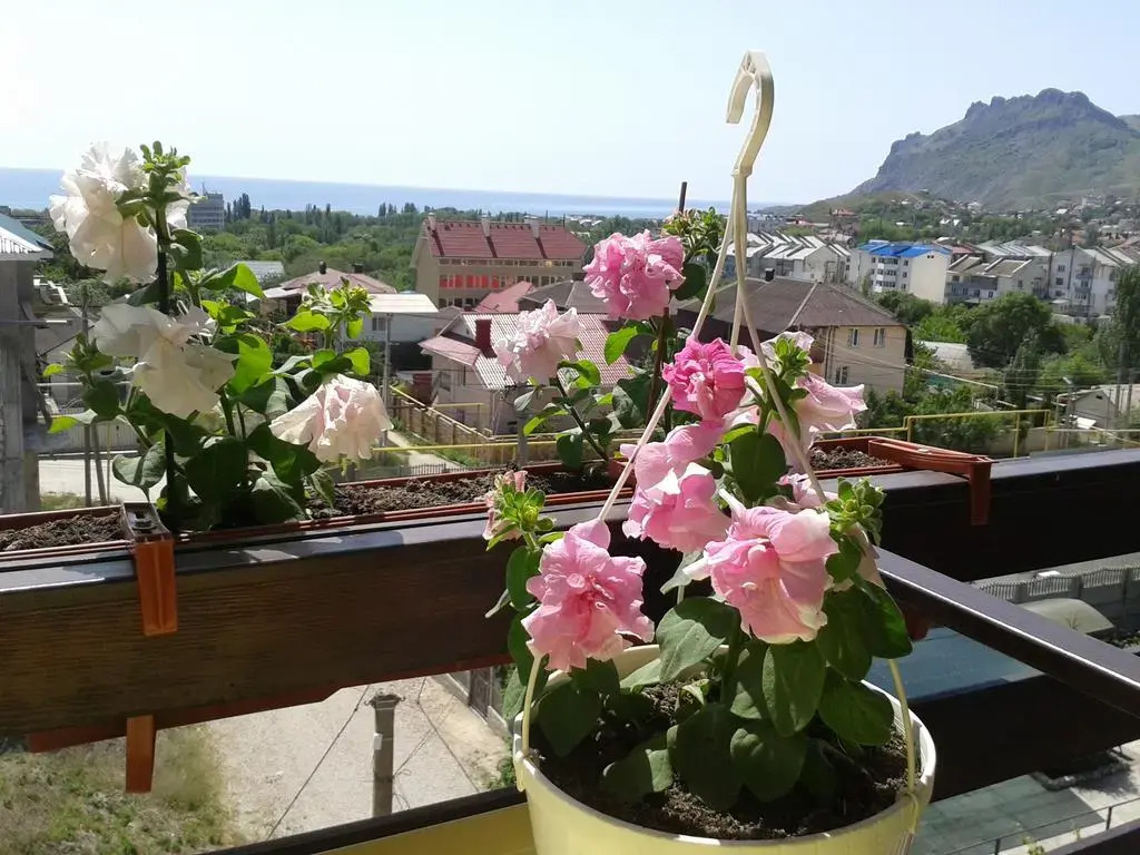 Uyut Guest House