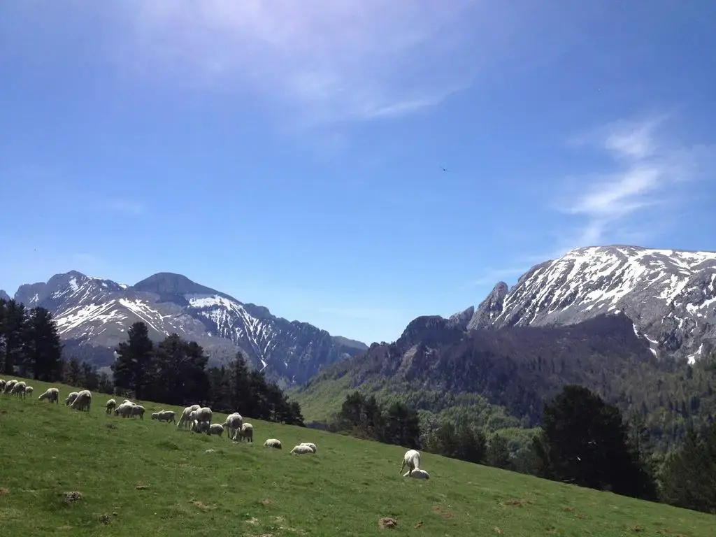 Imagen de Pension Txiki (16 de 18)