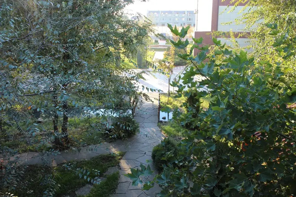 Hotel Pegas