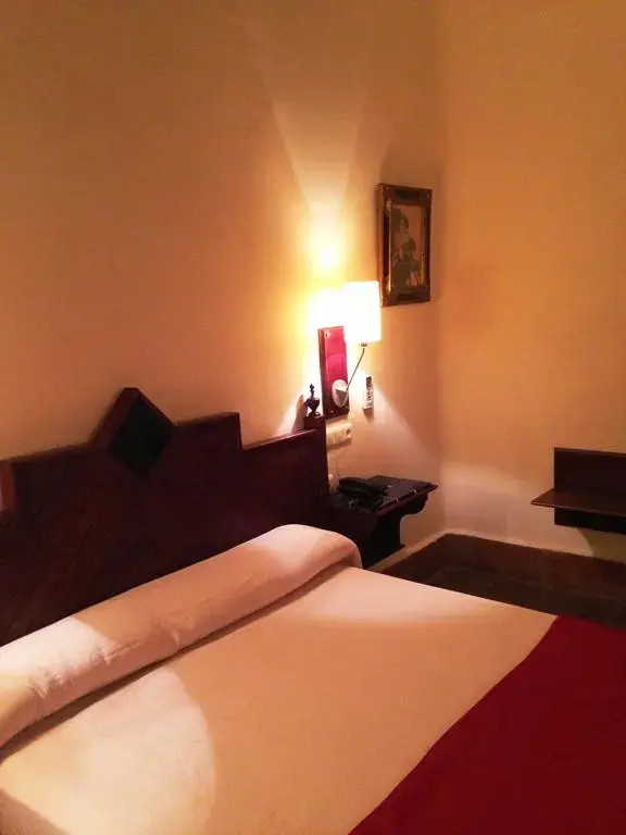 Imagen de Hotel Casa Palacio Pilar del Toro (8 de 20)