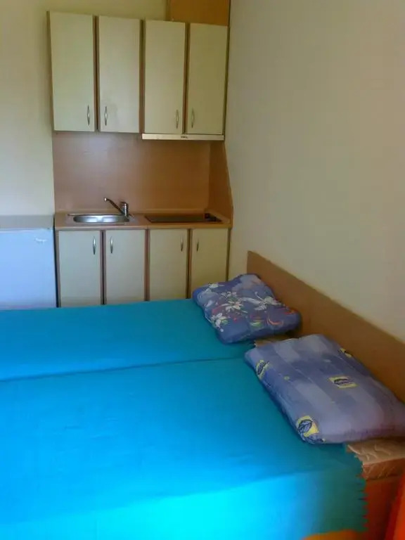 Apartment Amadeus 5