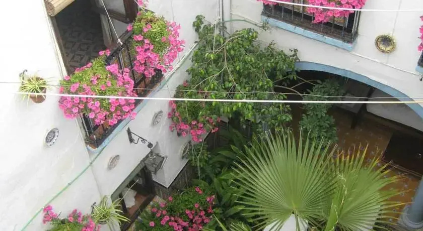 Imagen de Séneca Hostel (17 de 18)