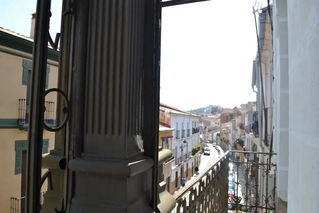 Imagen de Alameda Palacete (11 de 26)