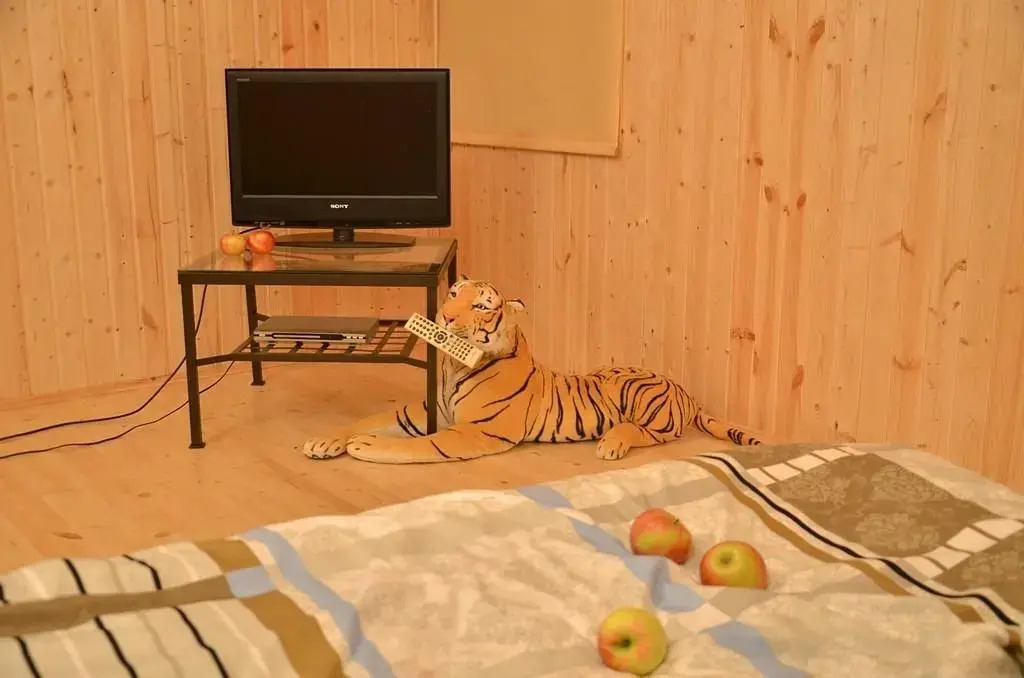 Markovo Holiday Home