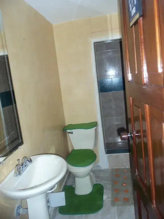 Women's Wellness Hostel (хостел для женщин)