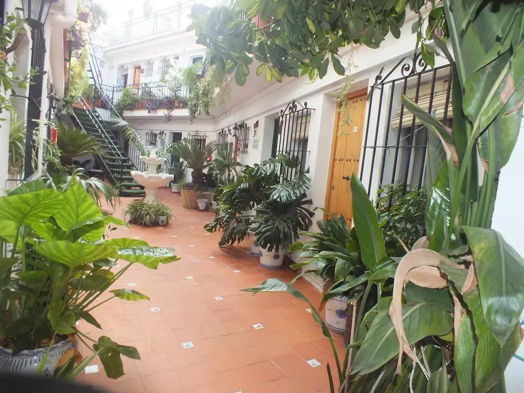 Imagen de Hostal El Patio (9 de 20)